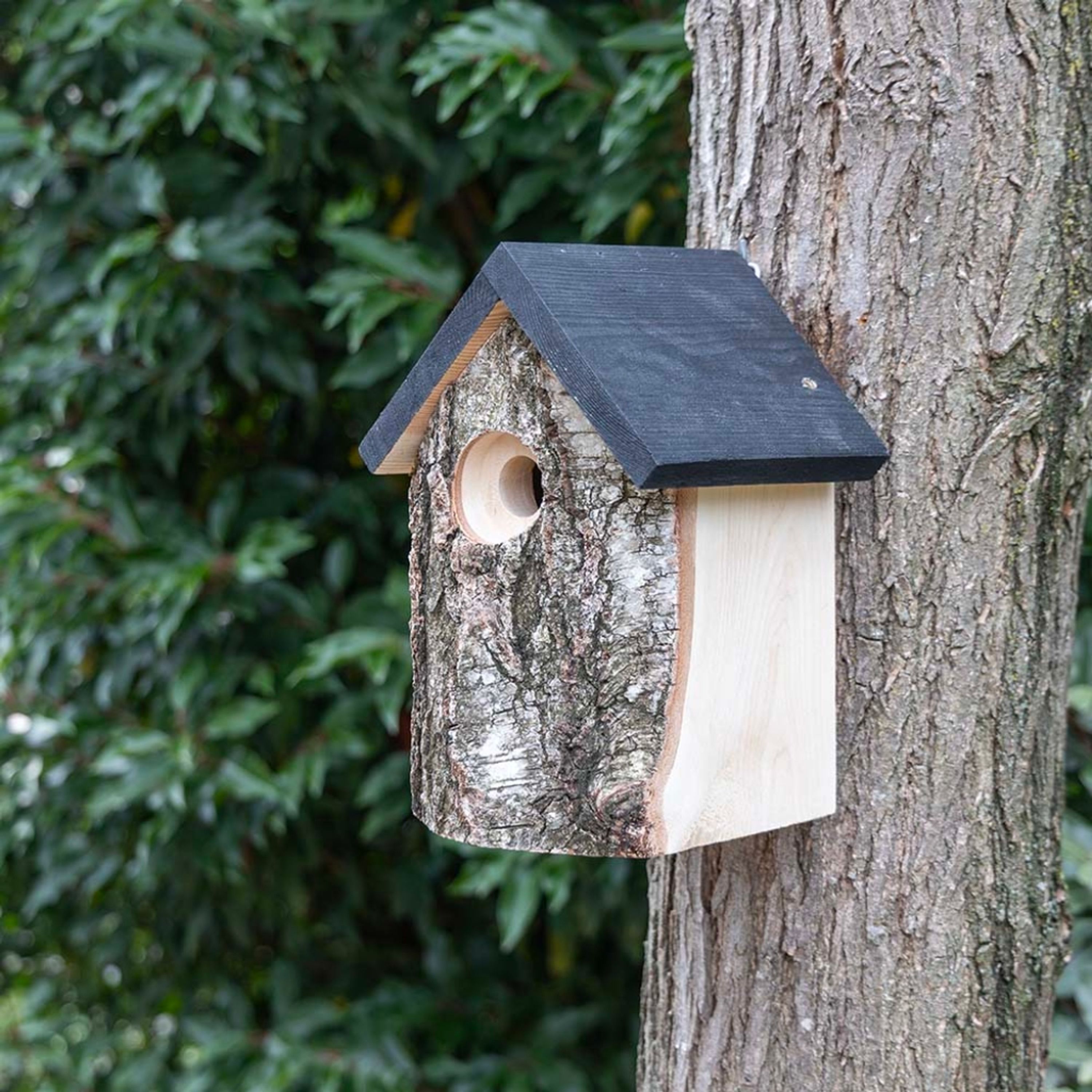 Birken-Nistkasten „Kingston“ 28 mm | Vogelhaus Birkenholz | CJ Wildlife